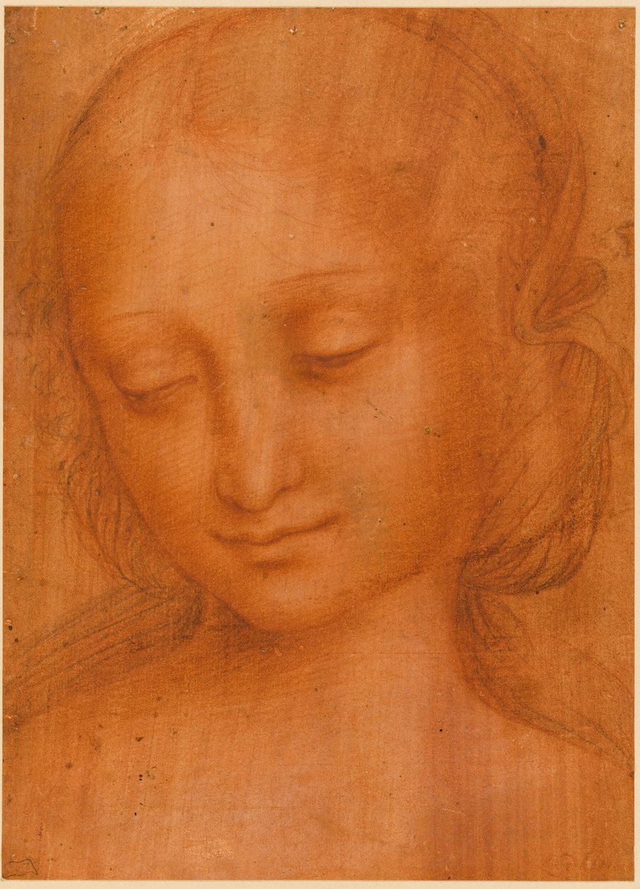 Cabeza de mujer de Giovanni Pietro Rizzoli Giampietrino