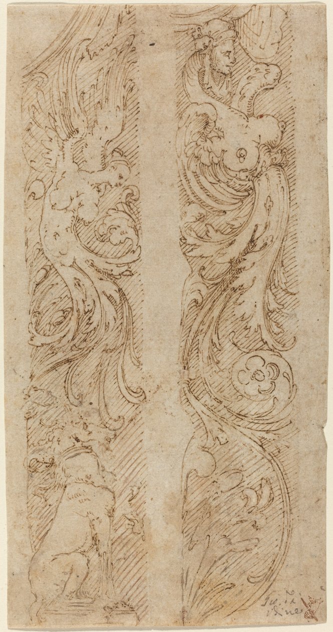 Decoraciones Grotescas para Paneles de Pared de Giovanni da Udine