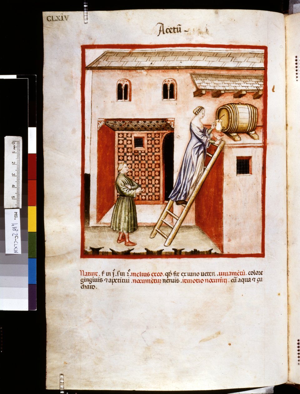 Theatrum sanitatis de Ububchasym de Baldach: "Acetum", primera década del siglo XIV (miniatura) de Giovannino de