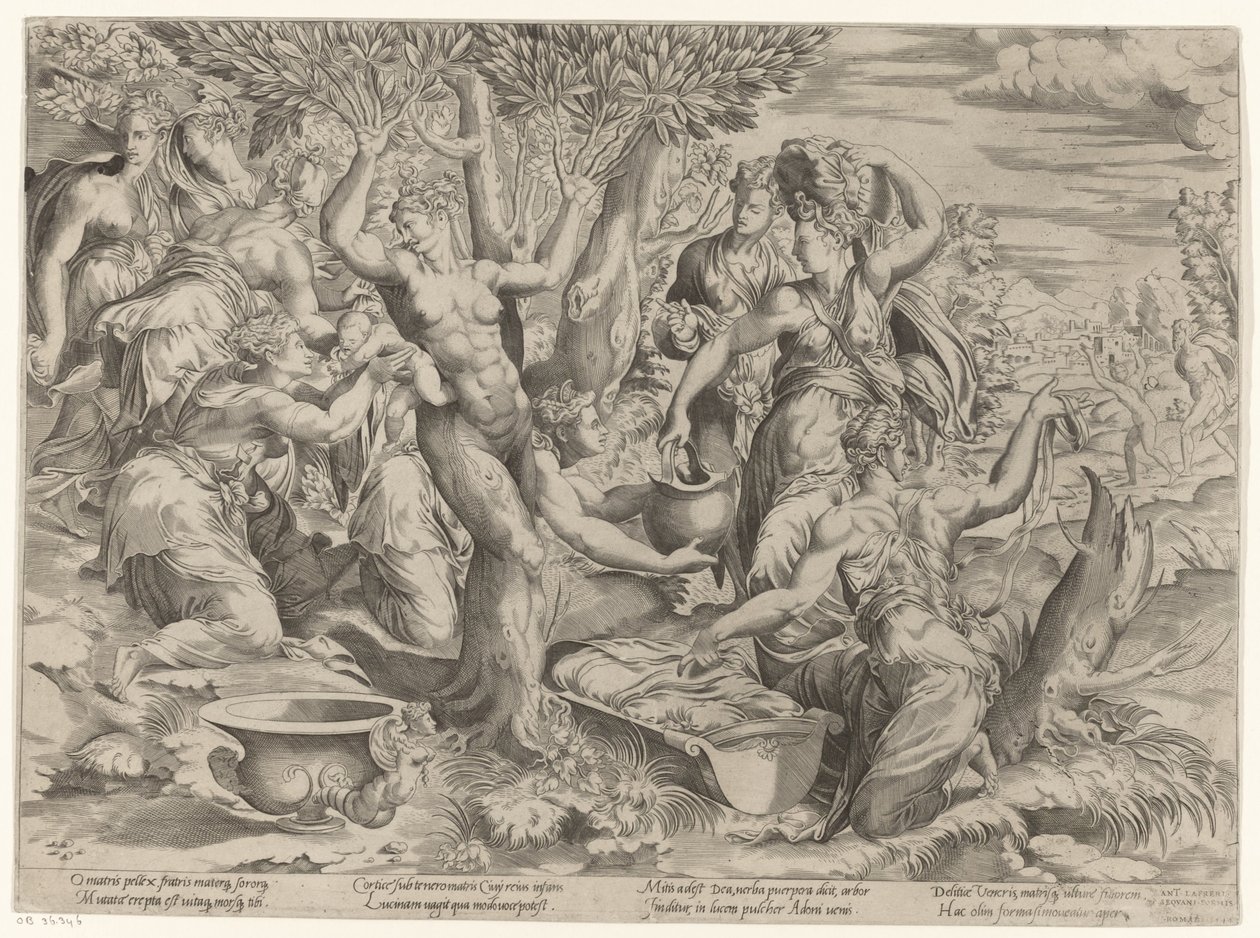 Nacimiento de Adonis de Girolamo Fagiuoli (attributed to)