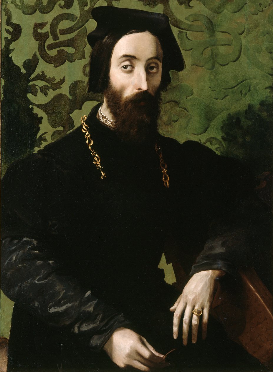 Retrato de músico, c.1540 (óleo sobre tabla) de Girolamo Mazzola (attr.) Bedoli