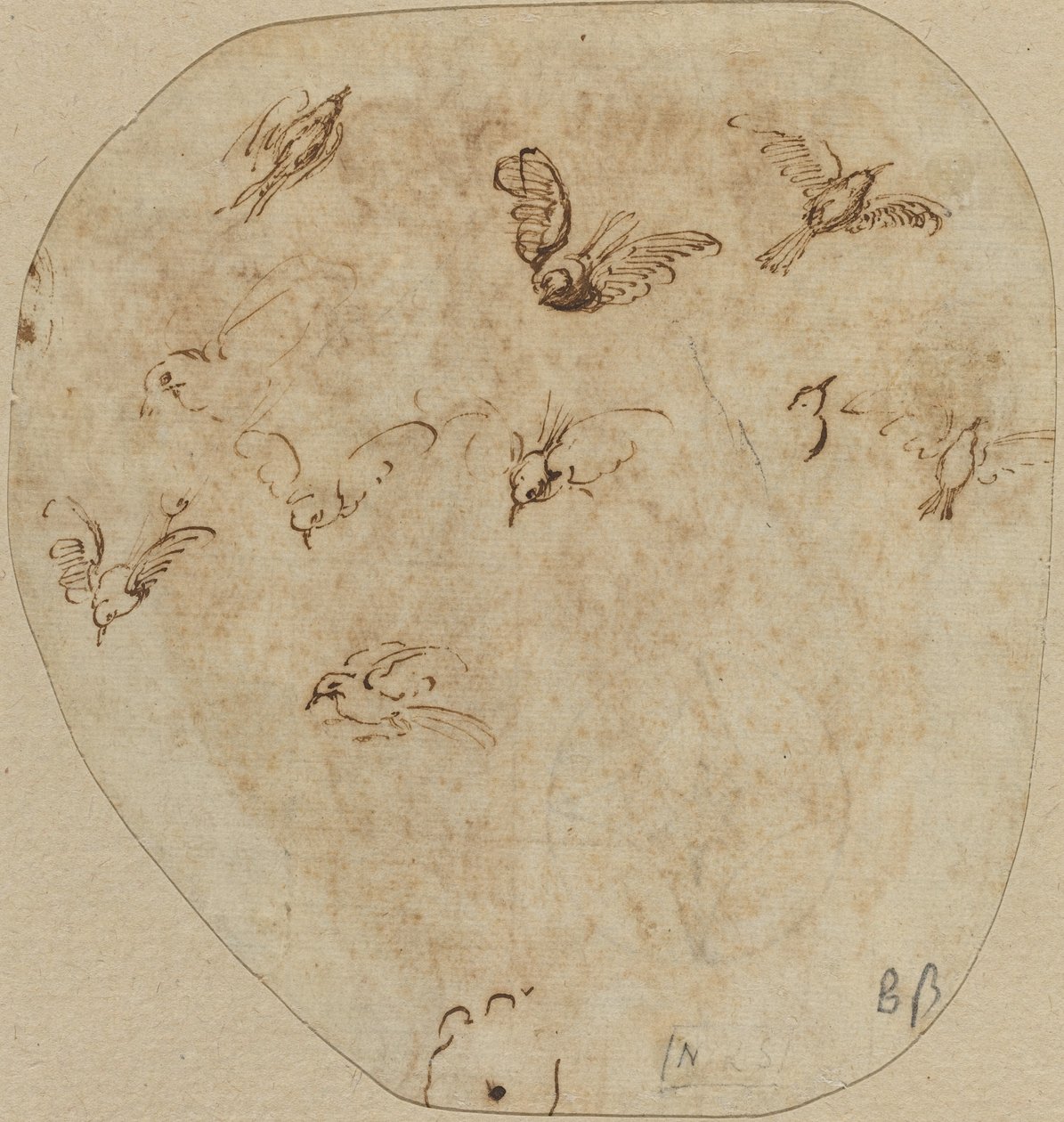 Aves en vuelo [verso] de Girolamo Mazzola Bedoli