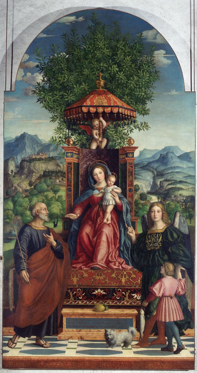 Virgen del Paraguas de Girolamo dai Libri, Museo de Castelvecchio de Girolamo dai Libri