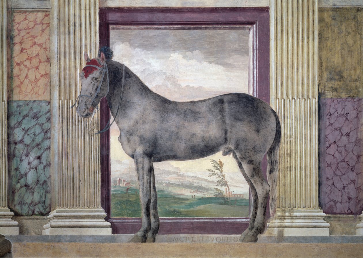 Sala dei Cavalli, (detalle) de Giulio Romano