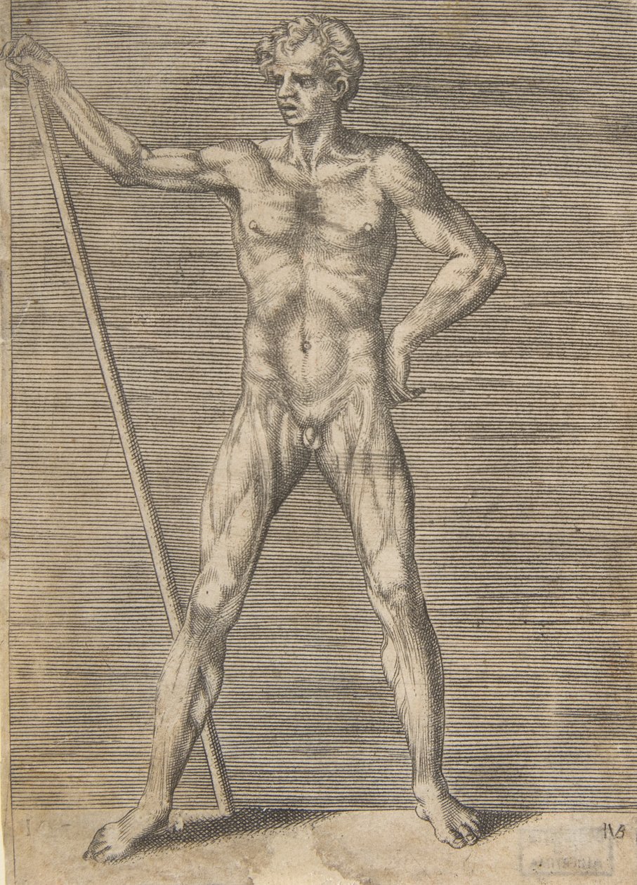 Hombre desollado visto de frente, sosteniendo un palo de Giulio Bonasone