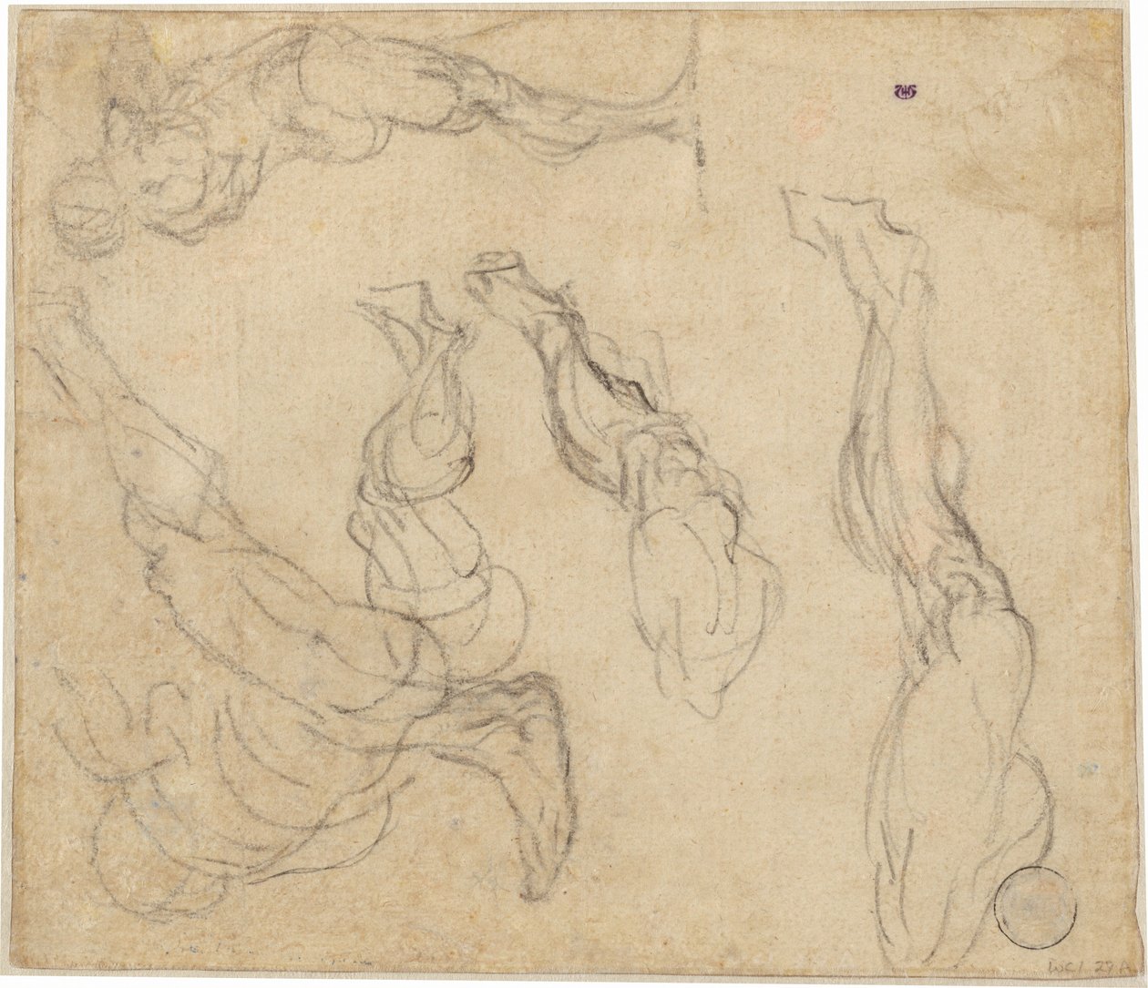 Cabeza de un niño (verso) de Giulio Campagnola