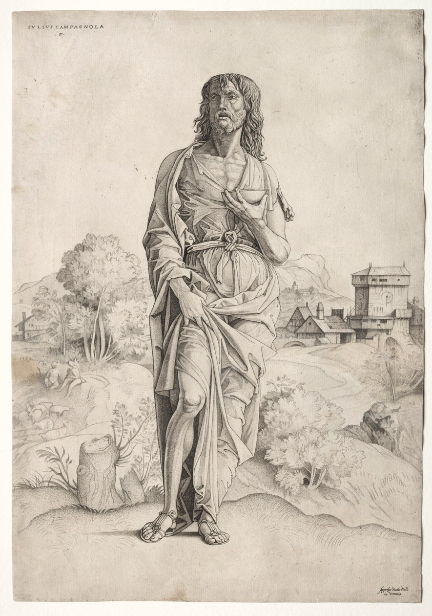 San Juan Bautista, c. 1505 de Giulio Campagnola