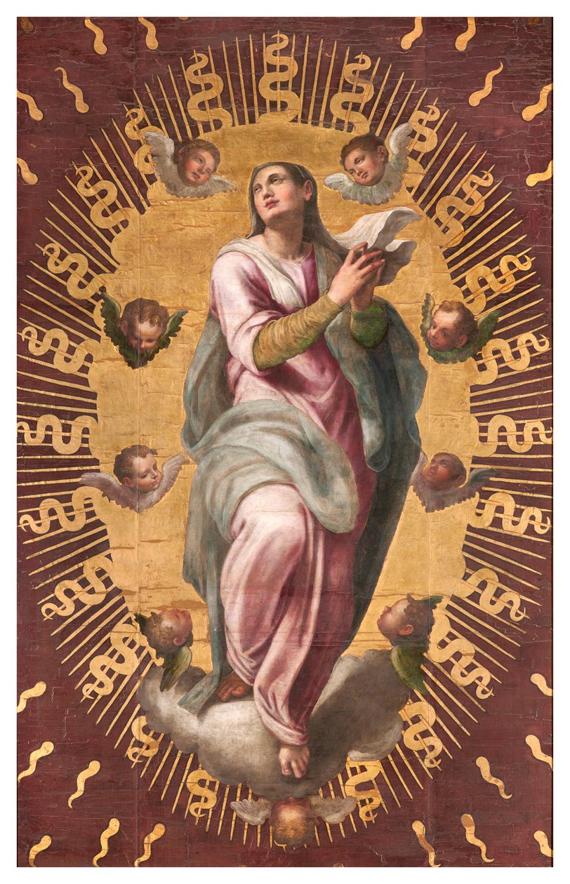 Sacristía de los Canónigos, Giulio Campi 1568, Estandarte de la Asunción de Giulio Campi