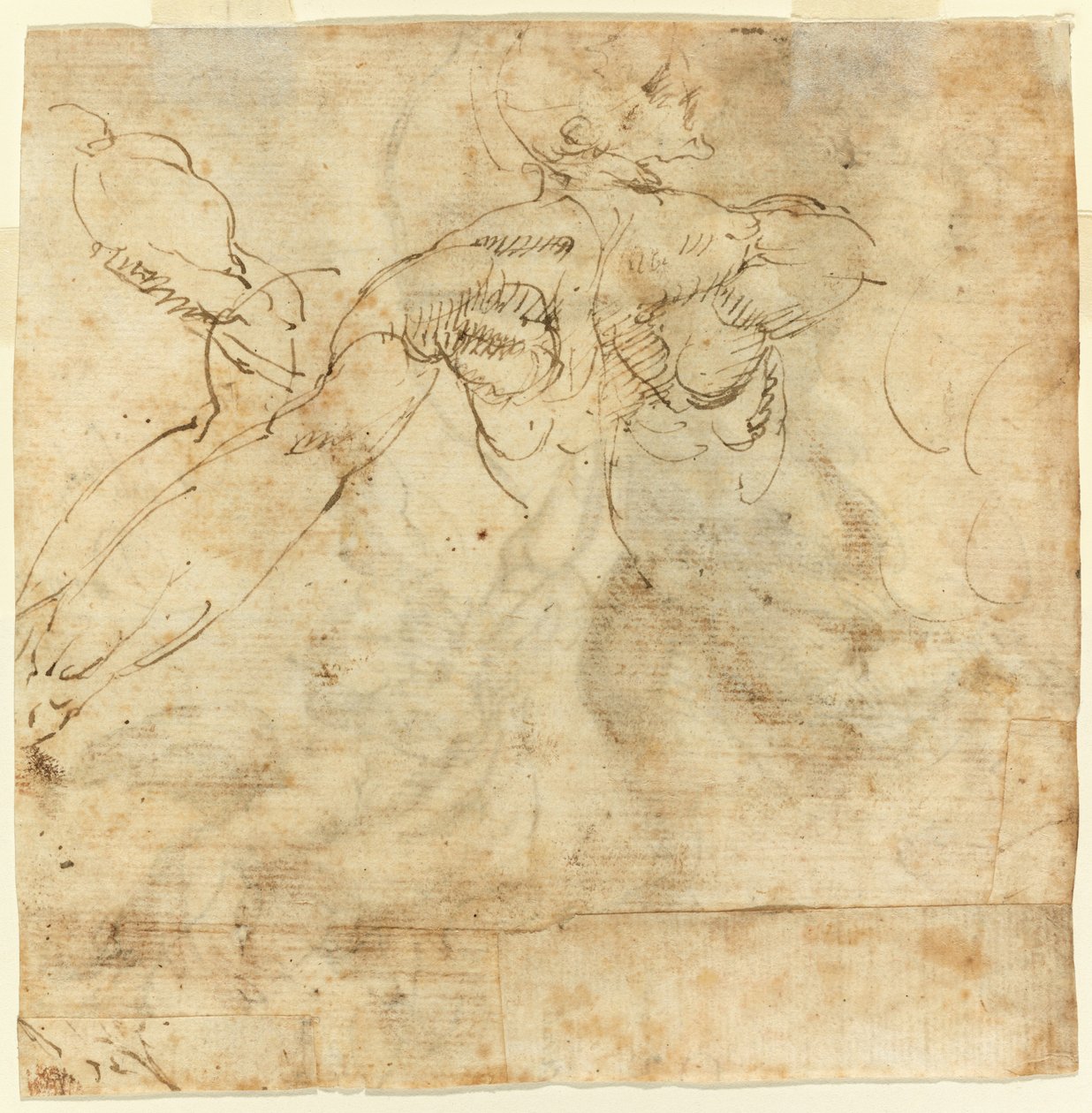 Estudio de una Espalda de Giulio Cesare Procaccini