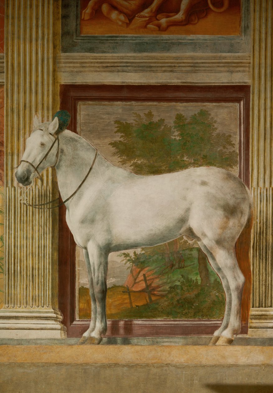 La Sala de los Caballos con pinturas murales de los caballos favoritos de Federico II Gonzaga (fresco) de Giulio Romano