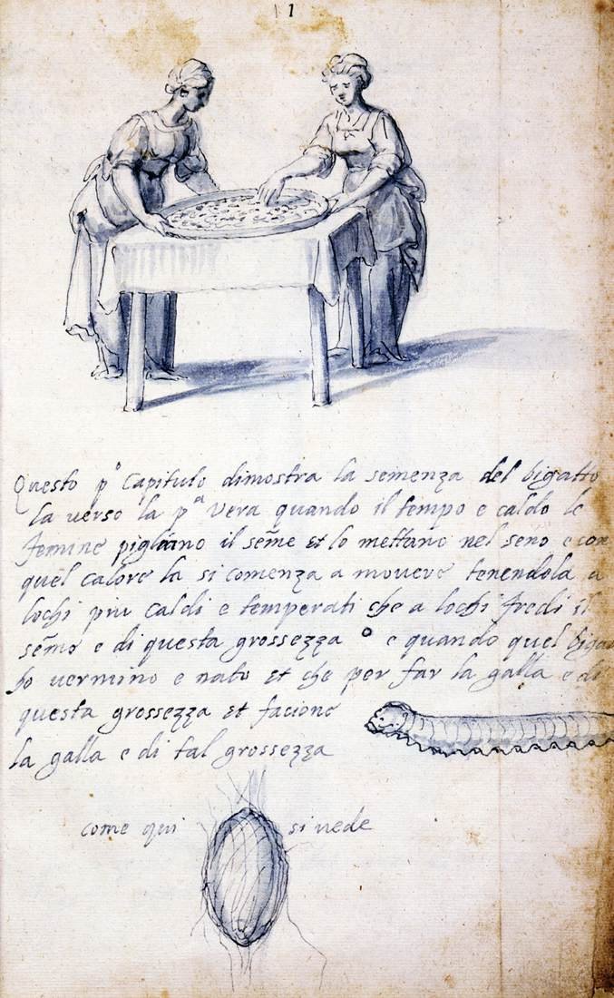 Tratado sobre la cultura y fabricación de la seda (Serie de trece dibujos, No. 1) de Giuseppe Arcimboldo