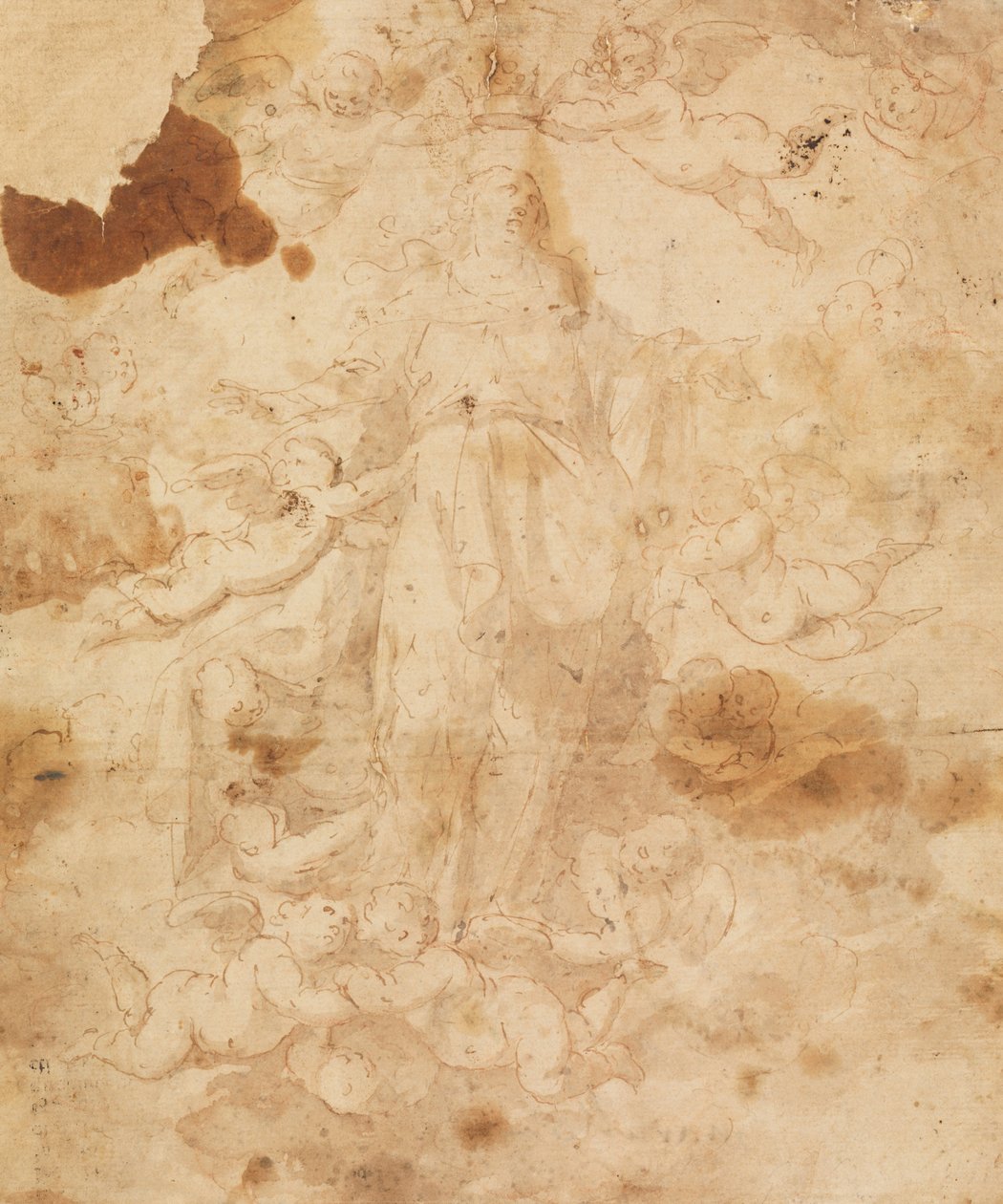 Estudio para la Ascensión de la Virgen de Giuseppe Marullo