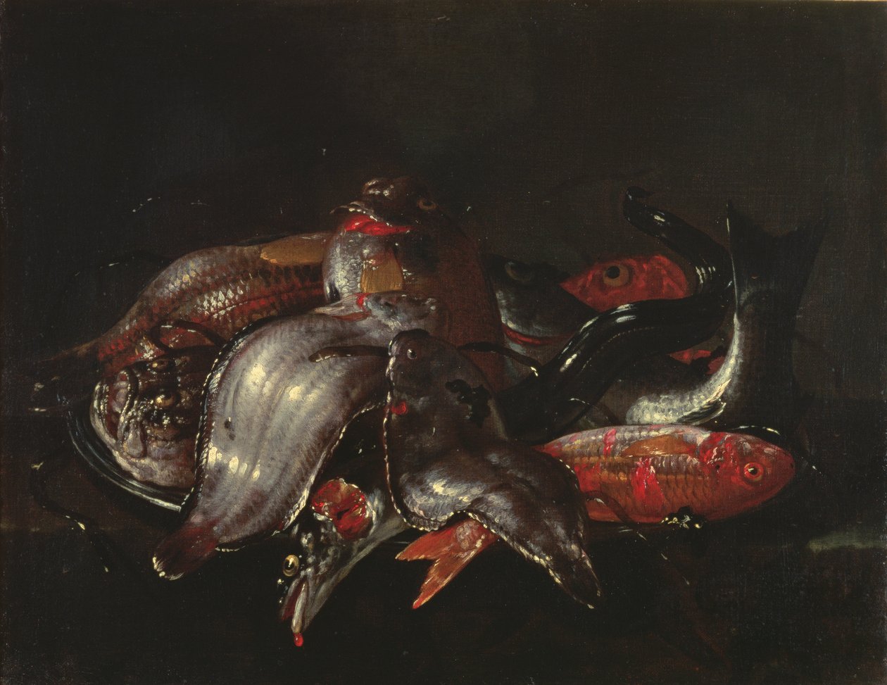 Naturaleza muerta de peces de Giuseppe Recco