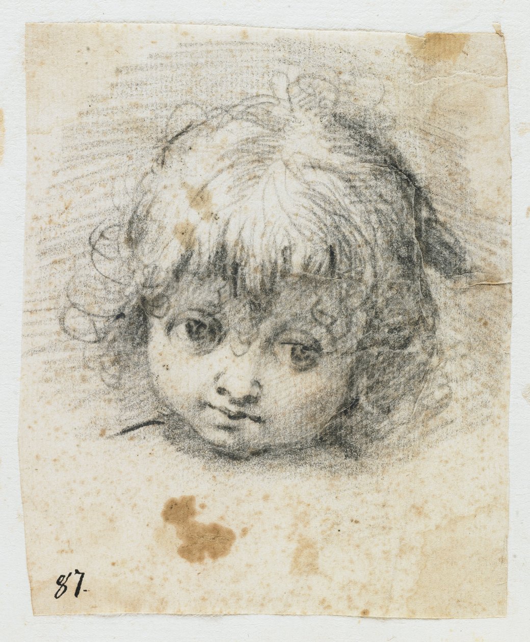 Retrato de un niño (tiza negra) de Giuseppe Cesari