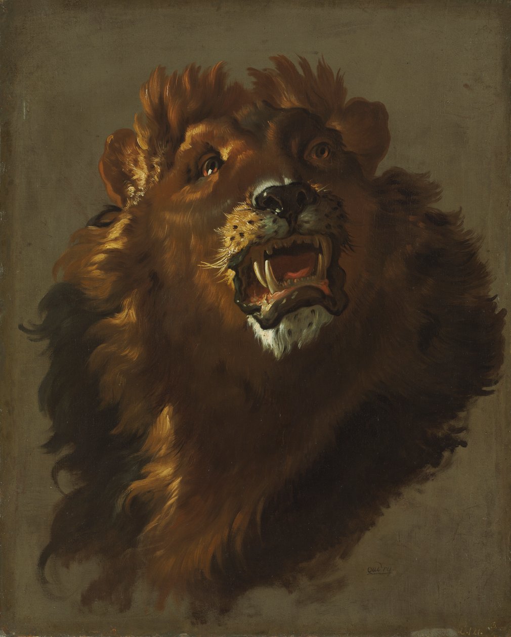 Lion de Giuseppe Baldrighi