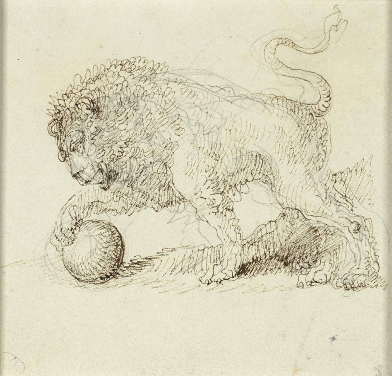 León con pelota de Giuseppe Bernardino Bison