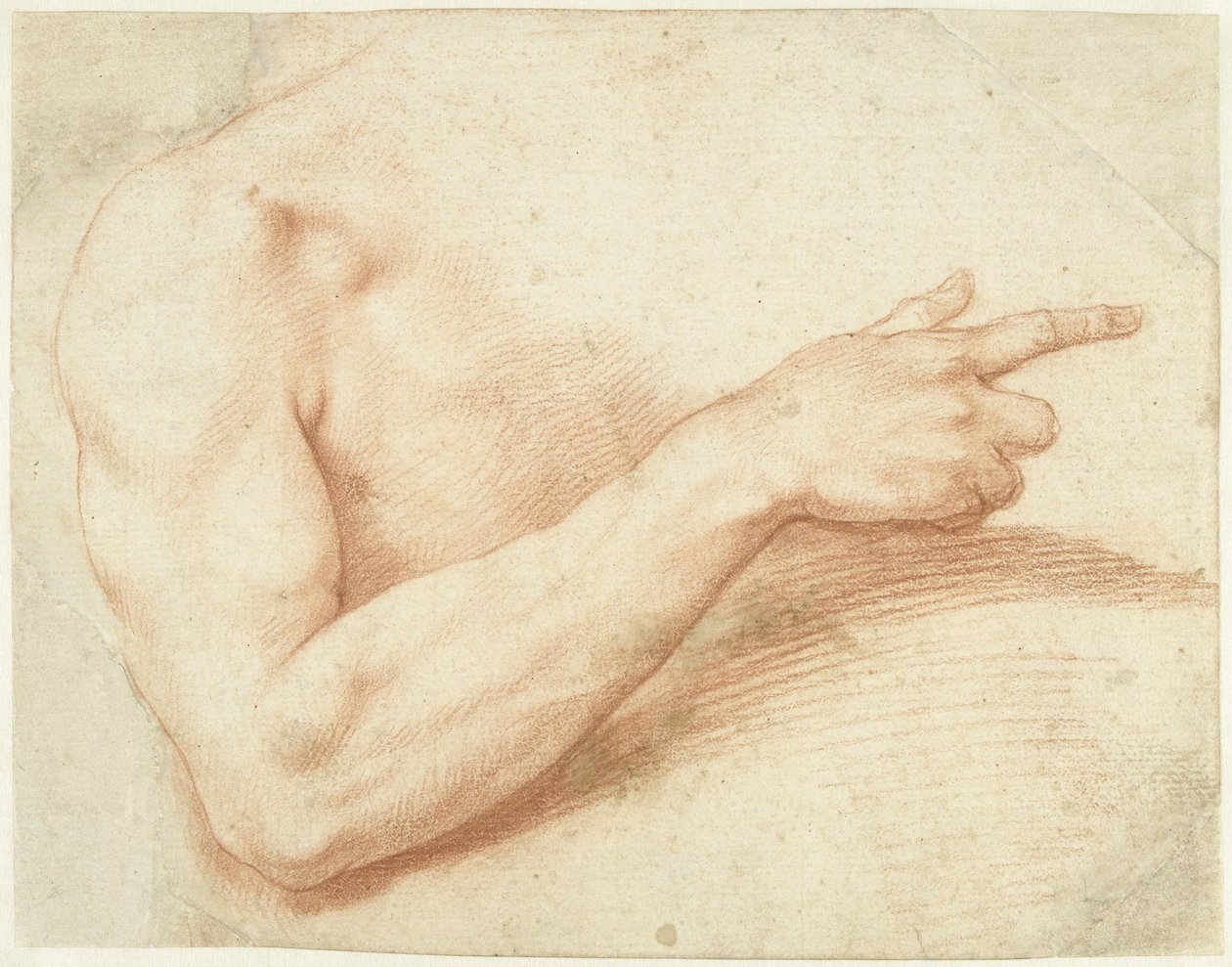 Estudio de un brazo de Giuseppe Cesari