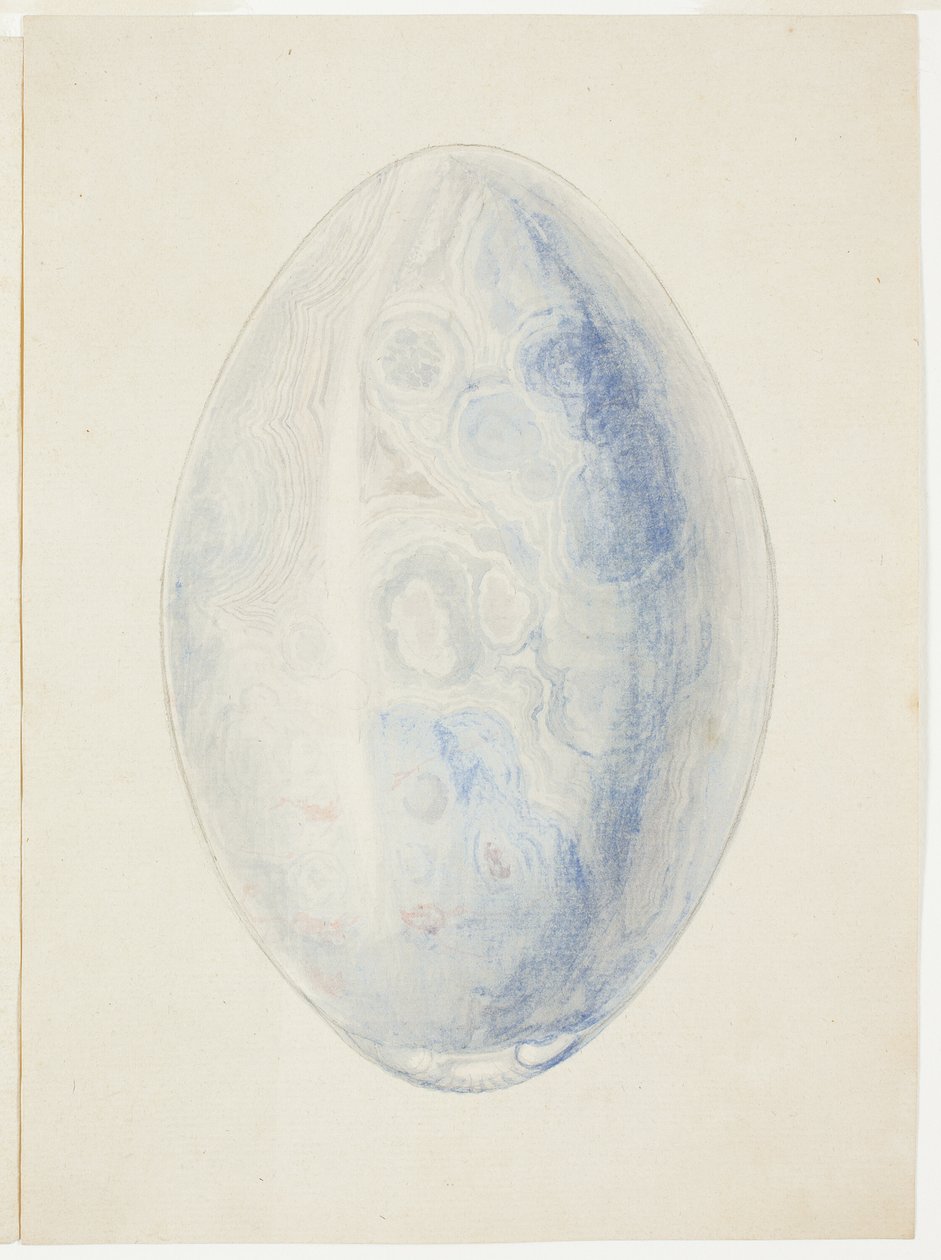 Visión general de la piedra de concha ovalada de Giuseppe Grisoni