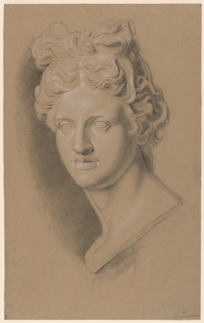Estudio académico de un busto femenino clásico de Giuseppe Longhi