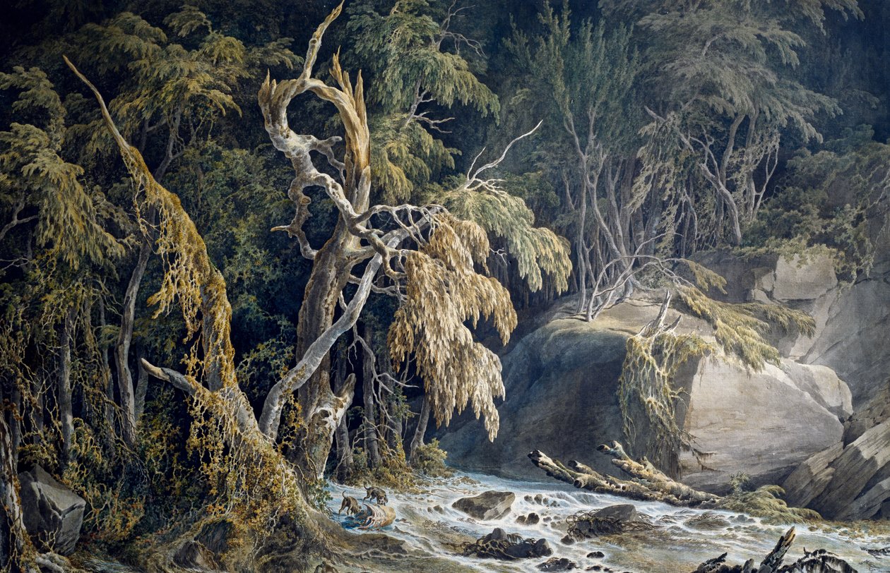 Paisaje rocoso con árboles arrancados, por Giuseppe Pietro Bagetti (1764-1831) de Giuseppe Pietro Bagetti