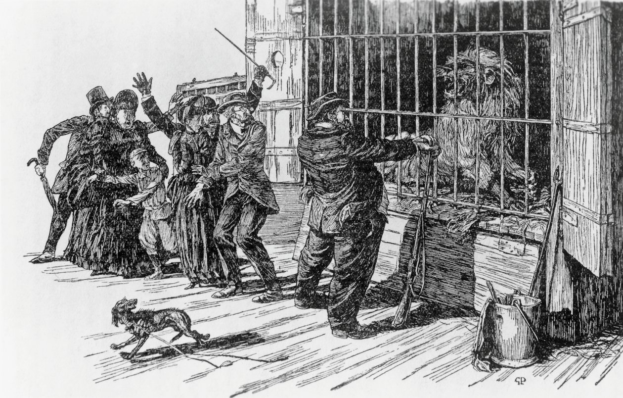 Tartarin y la jaula del león, ilustración para Tartarin en los Alpes de Alphonse Daudet, Milán de Giuseppe Porcheddu