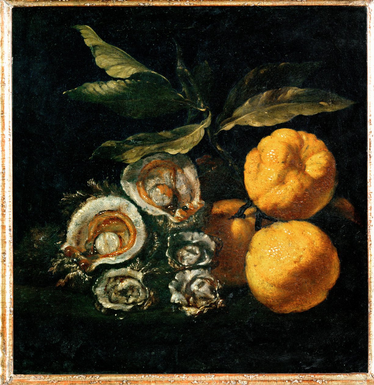 Nature Morte aux huitres et aux coings - Naturaleza muerta con ostras y membrillo ... de Giuseppe Recco
