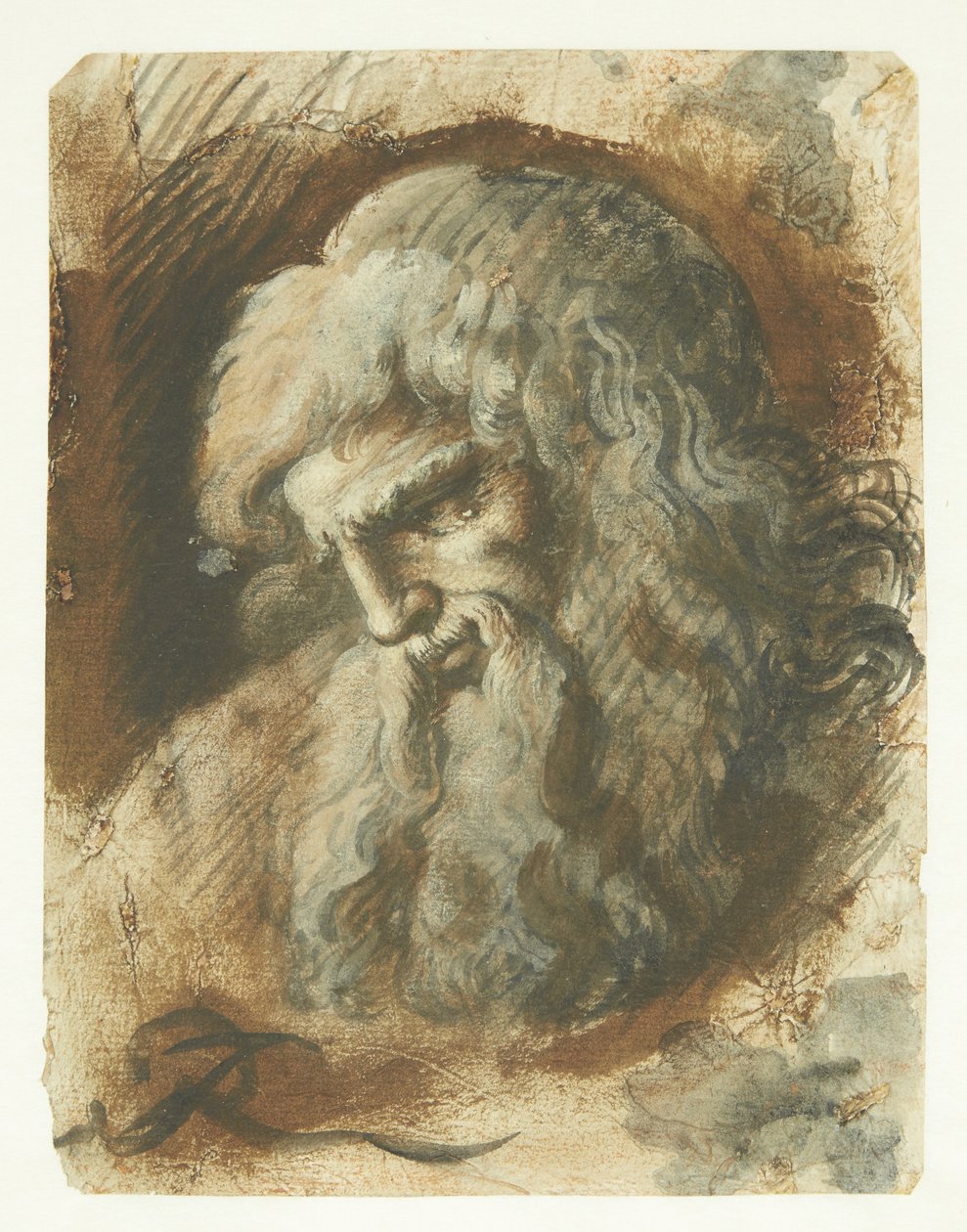 Cabeza de hombre barbudo de perfil hacia la izquierda de Giuseppe Ribera