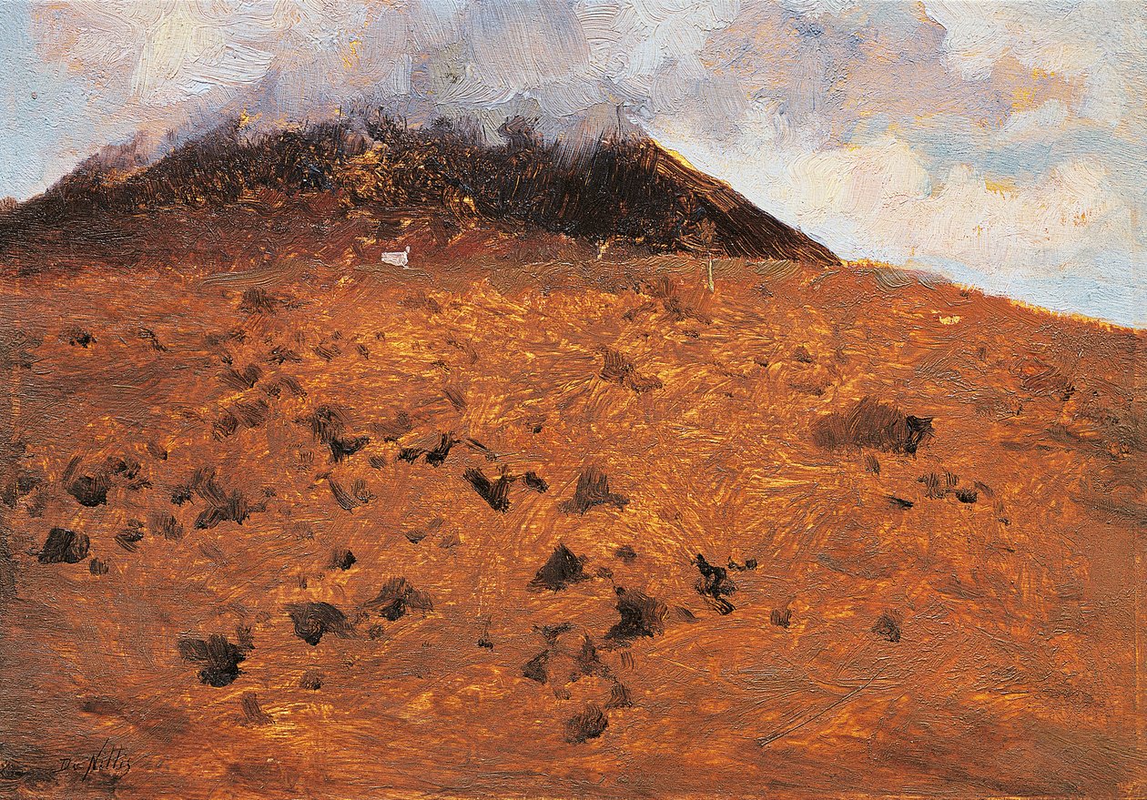 En las laderas del Vesubio de Giuseppe or Joseph de Nittis