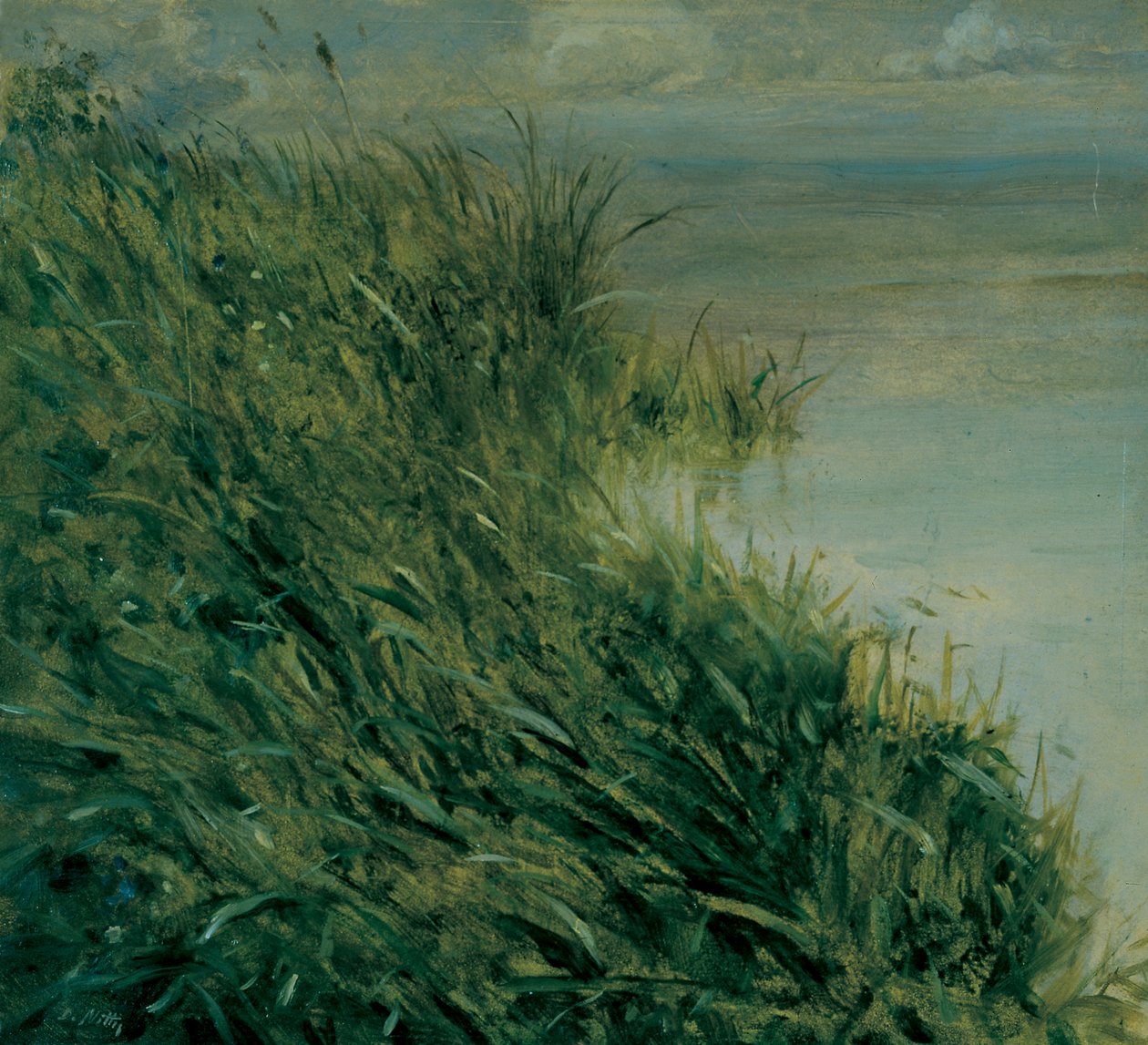 Estudio de pantano de Giuseppe or Joseph de Nittis