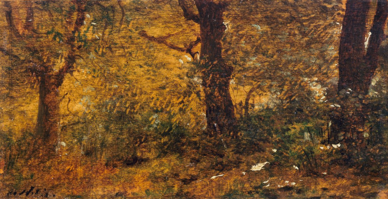 Estudio de madera de Giuseppe or Joseph de Nittis