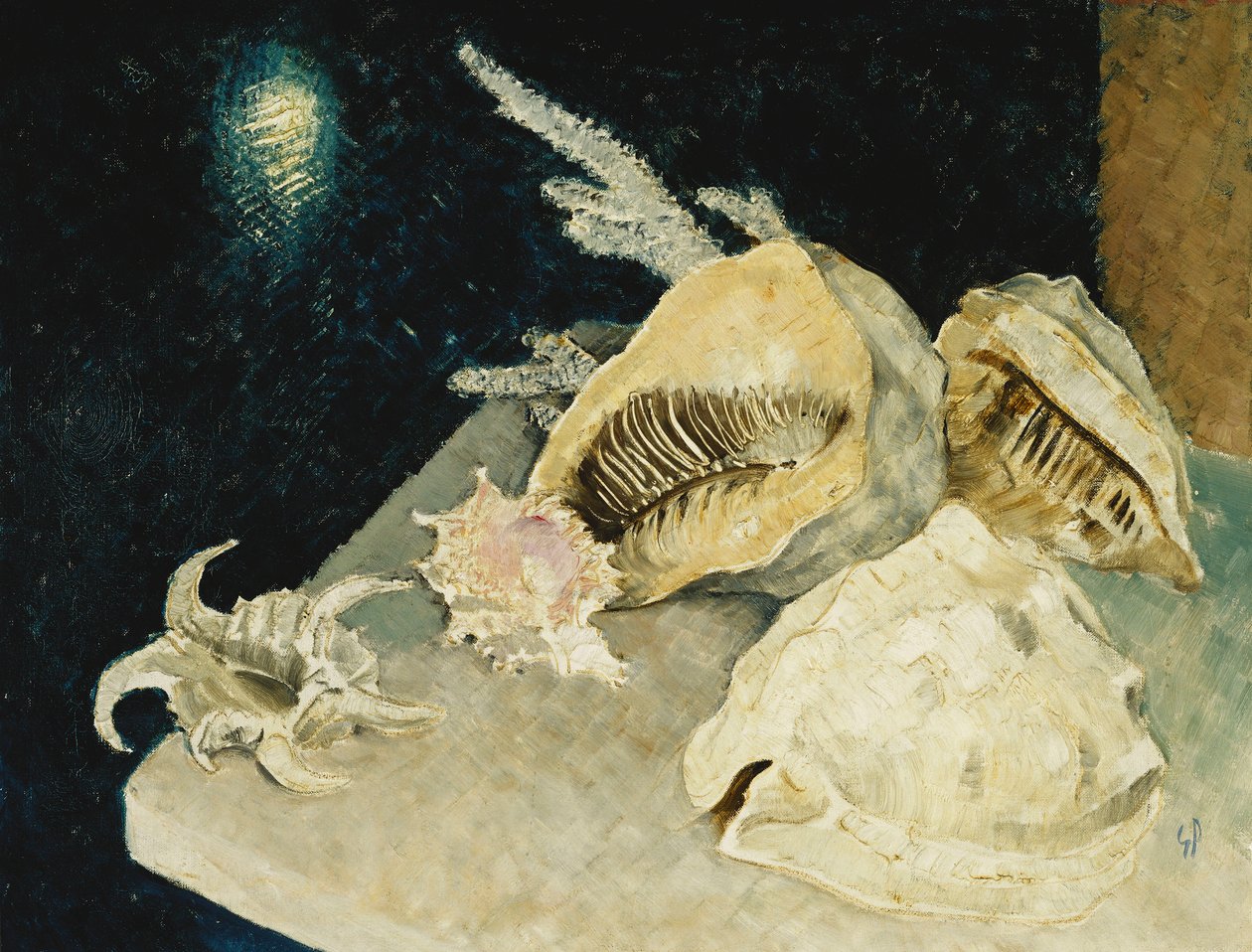 Conchas de Glyn Warren Philpot