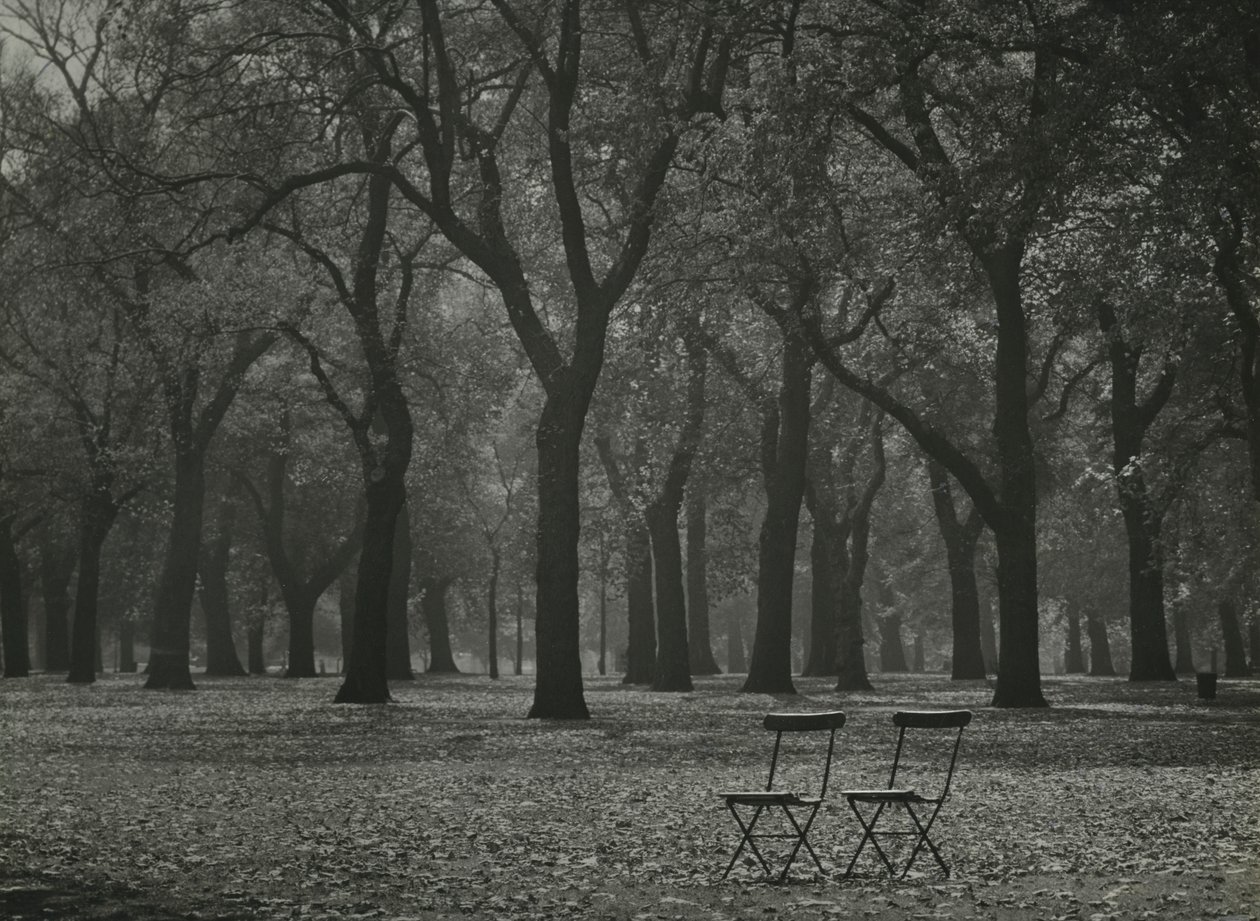 Árboles otoñales en Hyde Park, Londres de Godfrey Macdominic