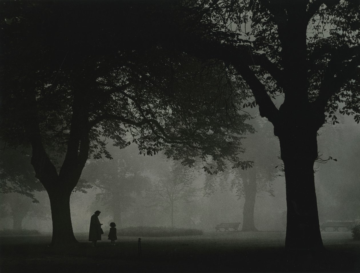 Regents Park, Londres, años 50 de Godfrey Macdominic