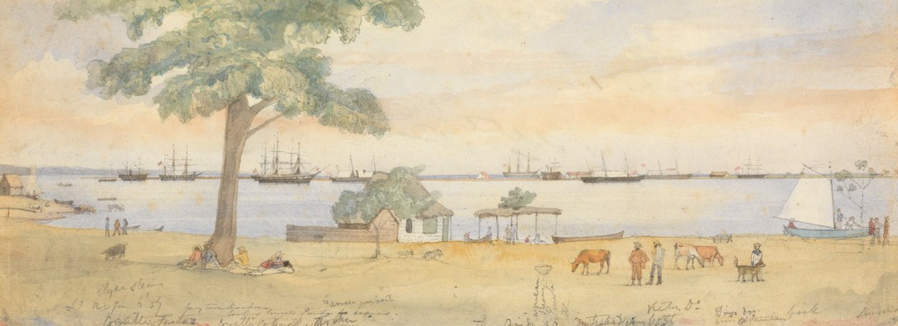 Greytown de Godfrey Thomas Vigne