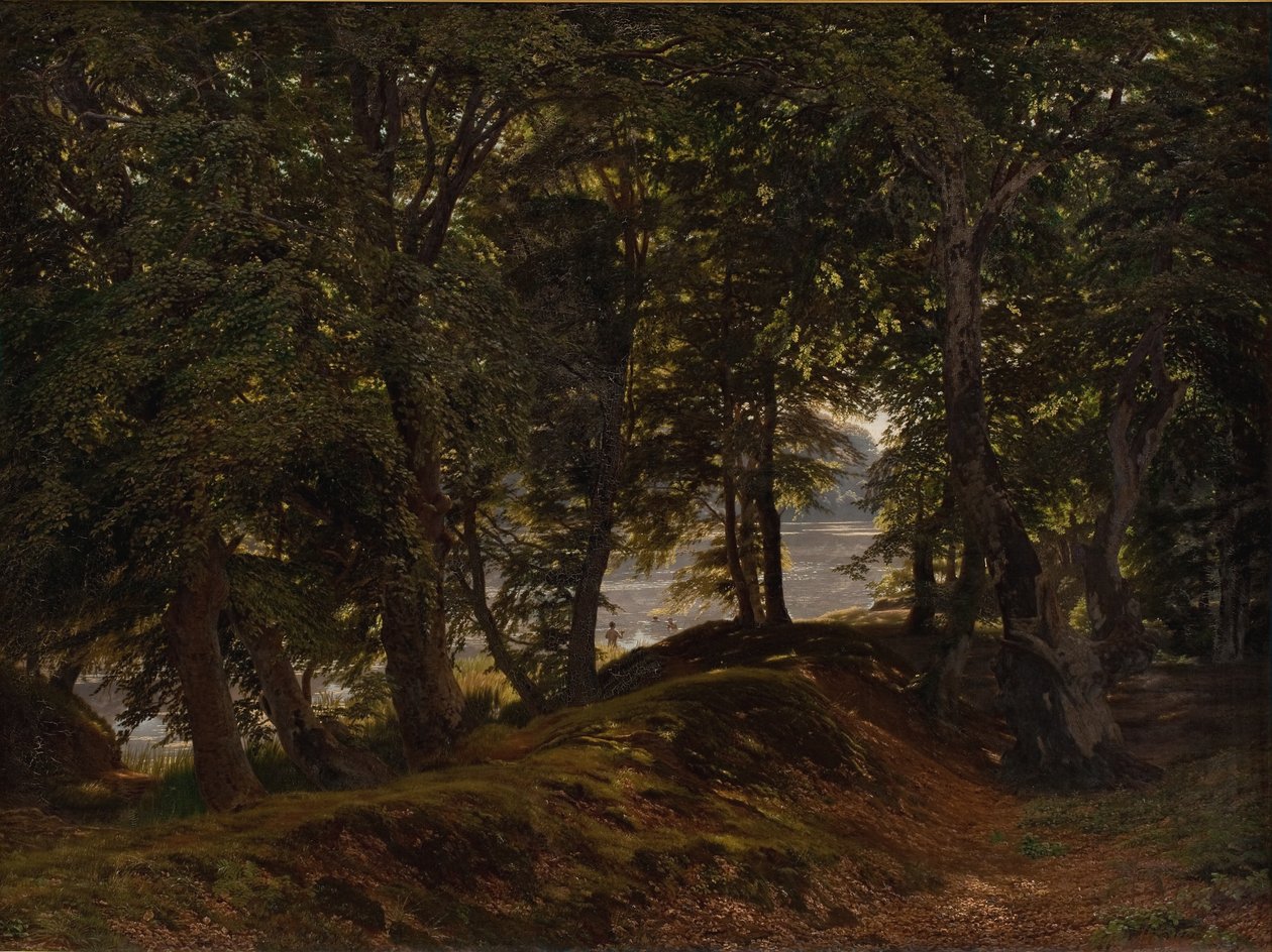 Un lugar sombreado en Hestehave cerca de Frederiksborg de Godtfred Rump