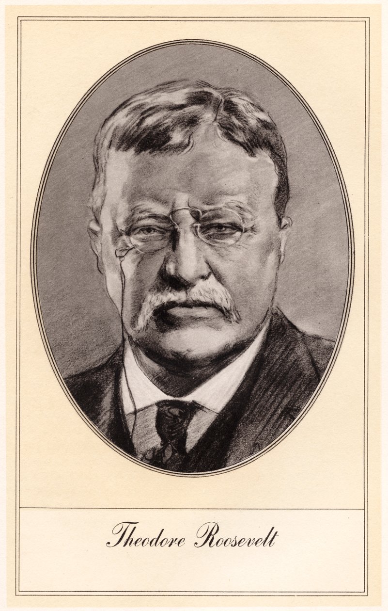 Retrato Presidencial De Theodore Roosevelt Theodore Roosevelt, De 59