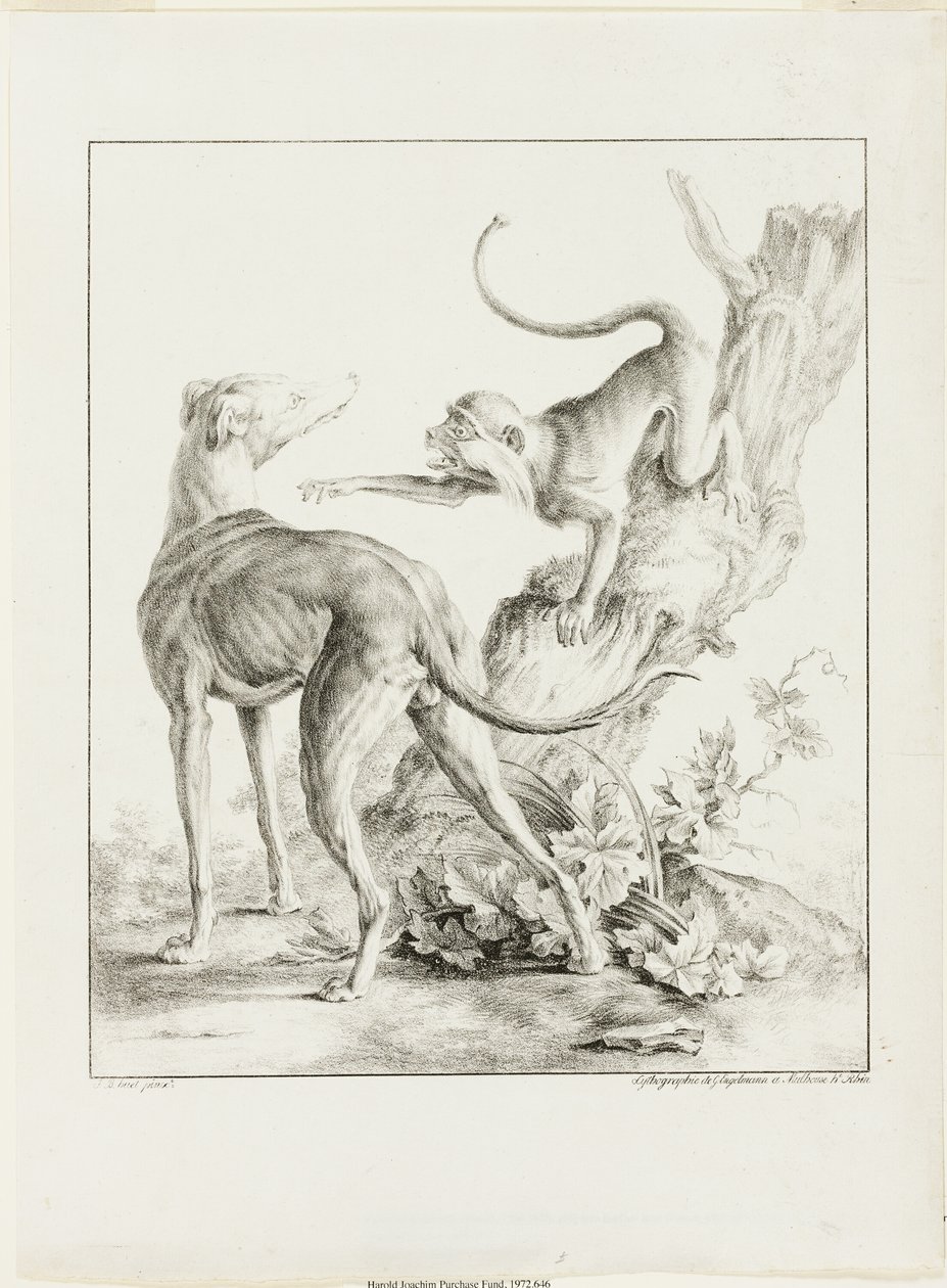 Perro y Mono de Gottfried Engelmann