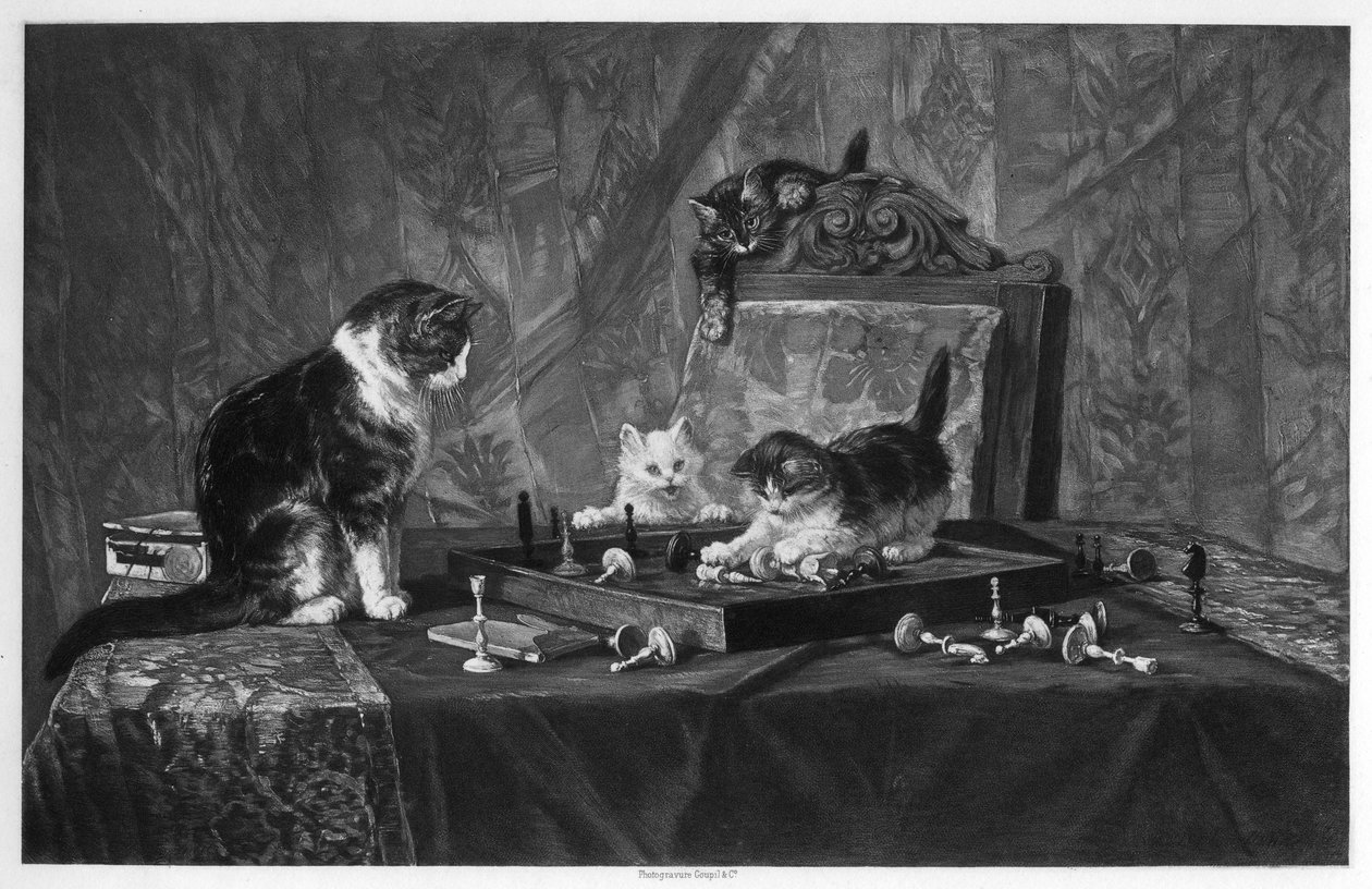 Gatos jugando con un tablero de ajedrez de Goupil and Co