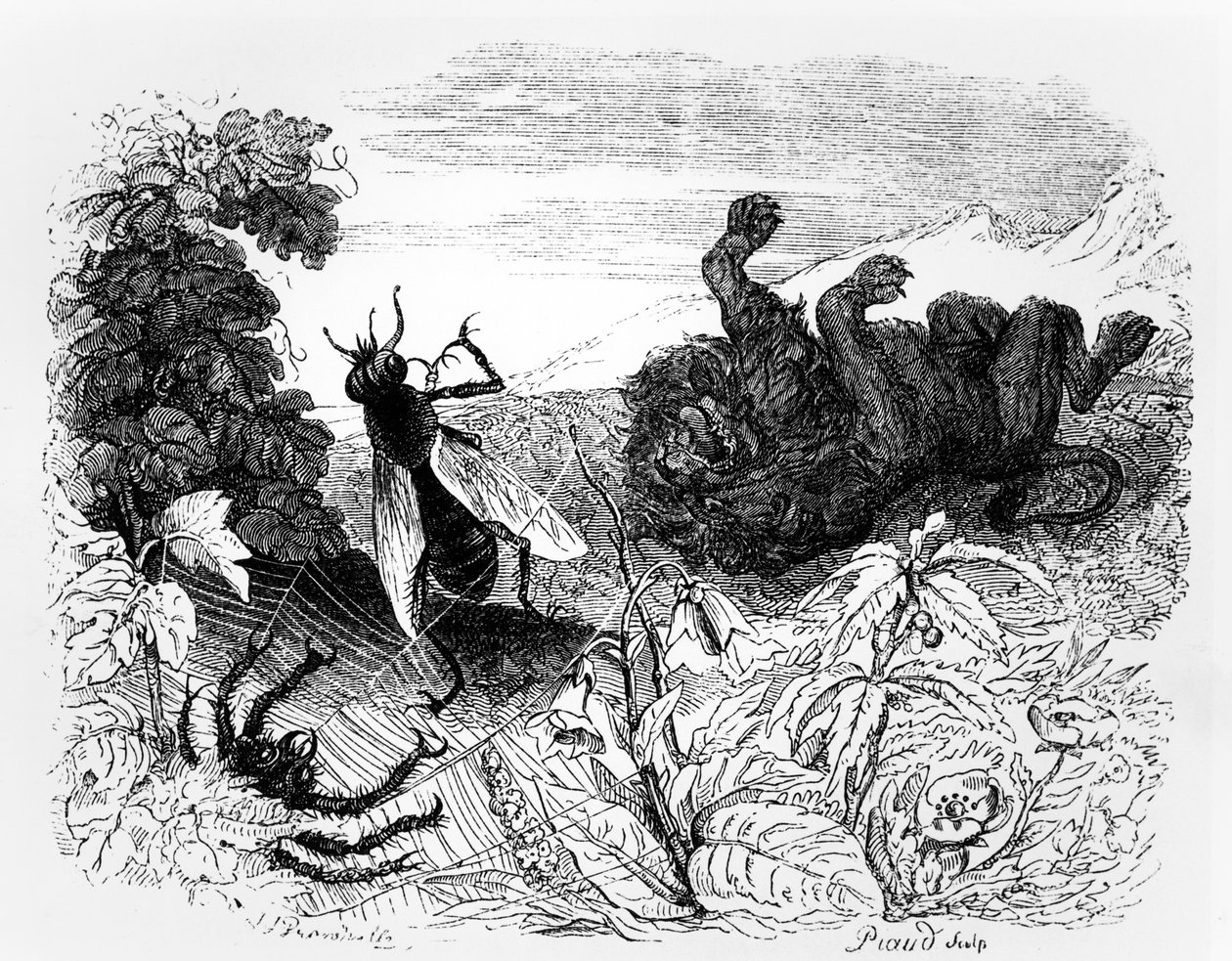 El león y el mosquito, ilustración para 