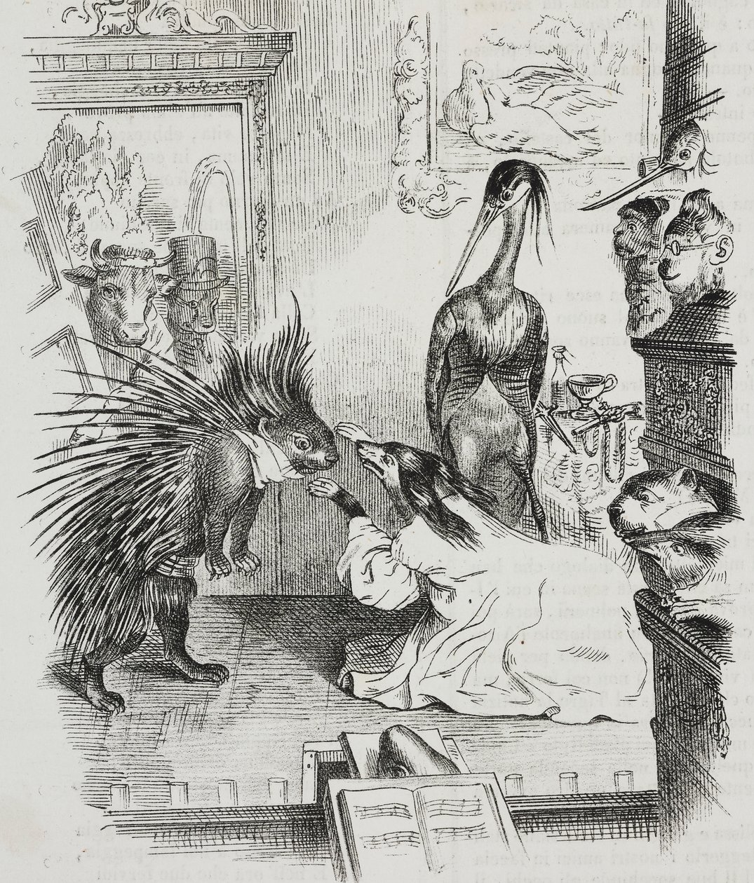 Perro y puercoespín, caricatura de Jean-Jacques Grandville (1803-1847), litografía de Giovanni Mariani de Poliorama Pittoresco, n 38, 30 de abril de Grandville