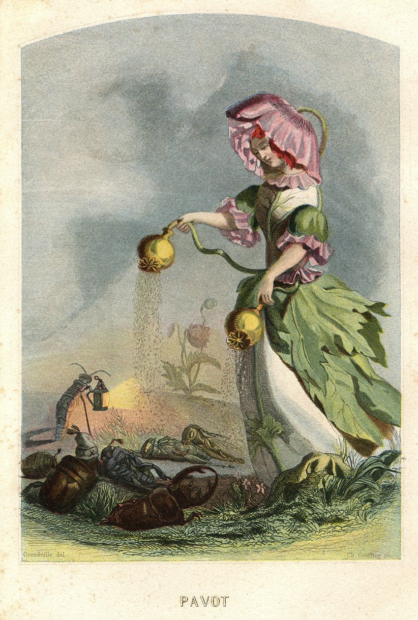 Ilustración para "Les Fleurs Animees de Grandville (1803 47)