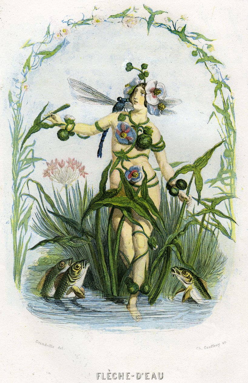 Ilustración para "Les Fleurs Animees de Grandville (1803 47)
