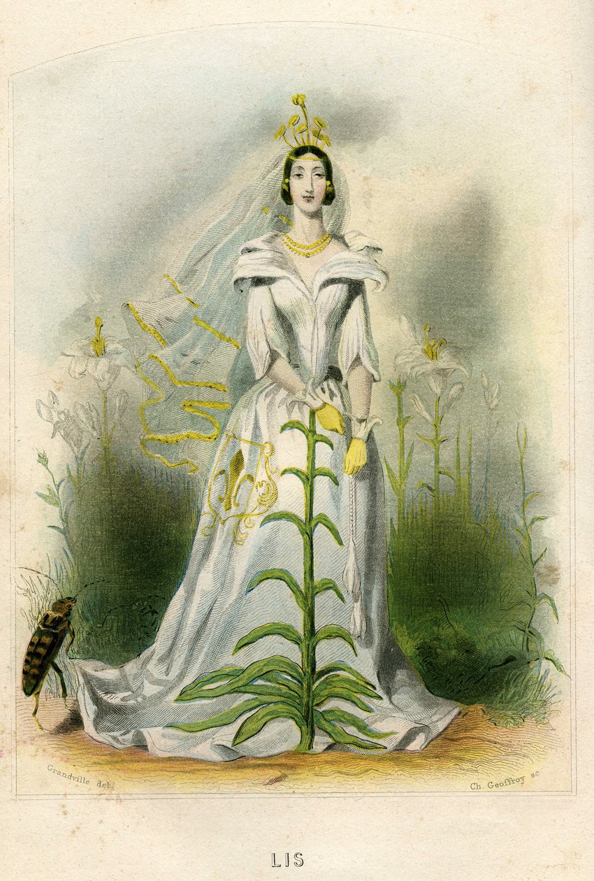Ilustración para "Les Fleurs Animees de Grandville (1803 47)