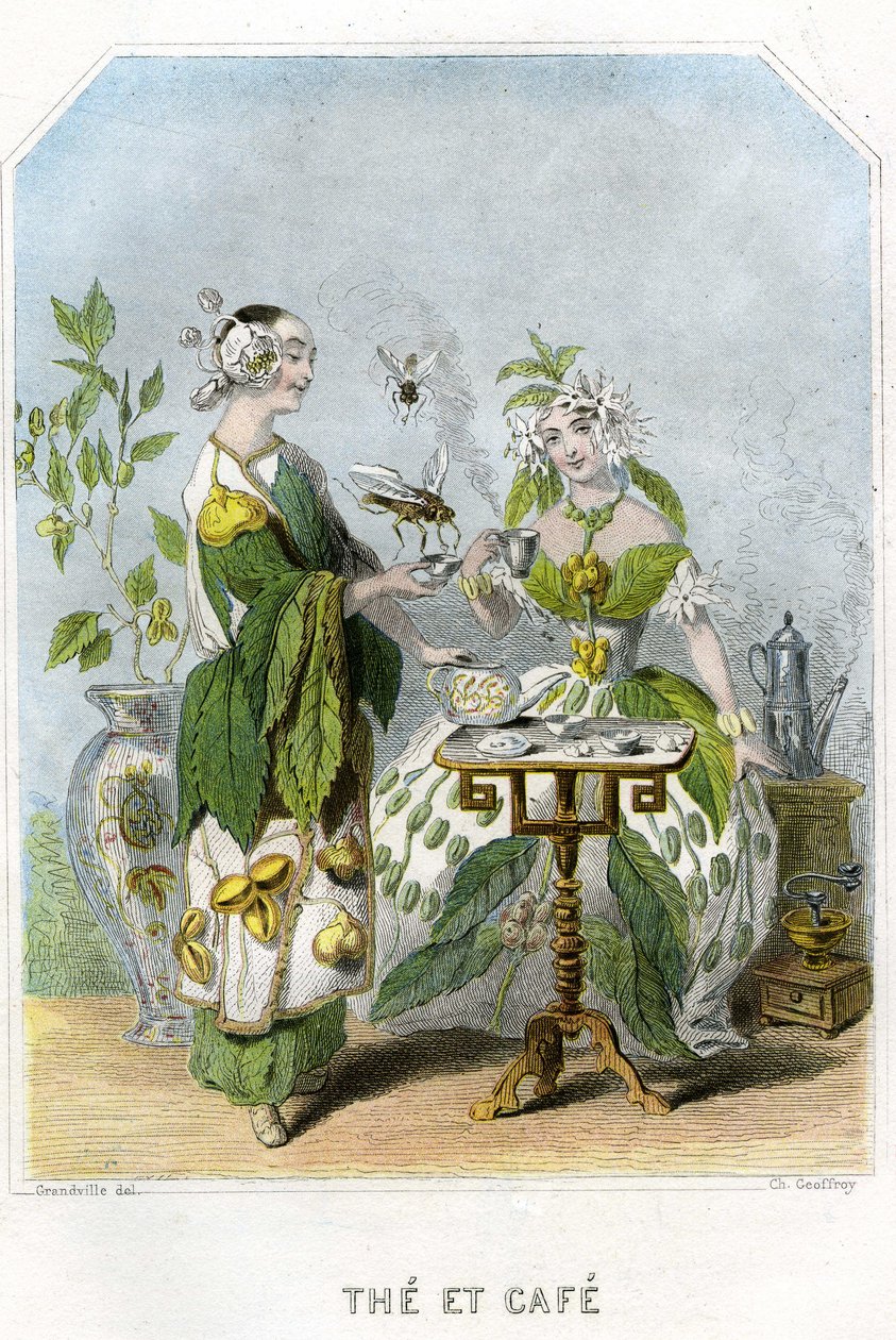Ilustración para "Les Fleurs Animees de Grandville (1803 47)