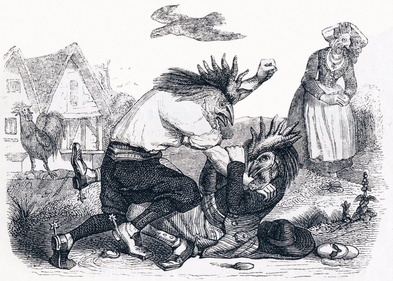 Los dos gallos - Fábulas de La Fontaine de Grandville