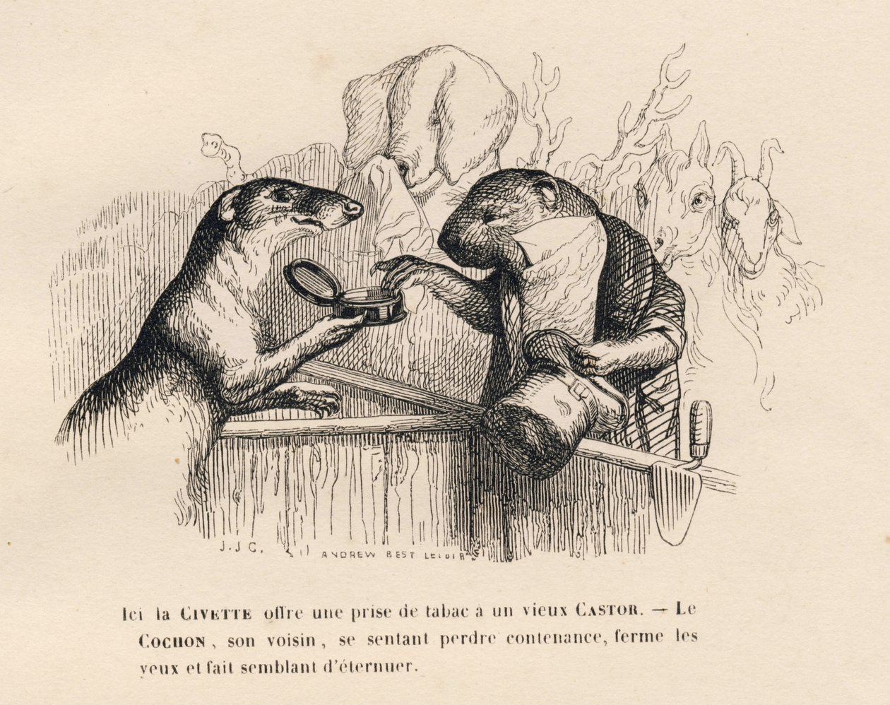 Una civeta ofrece una pizca de tabaco a un viejo castor, el cerdo detrás de él intenta contenerse. Viñetas ilustradas por JJ Granville. Grabado firmado Andrew Best y Leloir en el prólogo titulado "Resumen parlamentario" escrito por PJ Stahl en "Escenas de  de Grandville