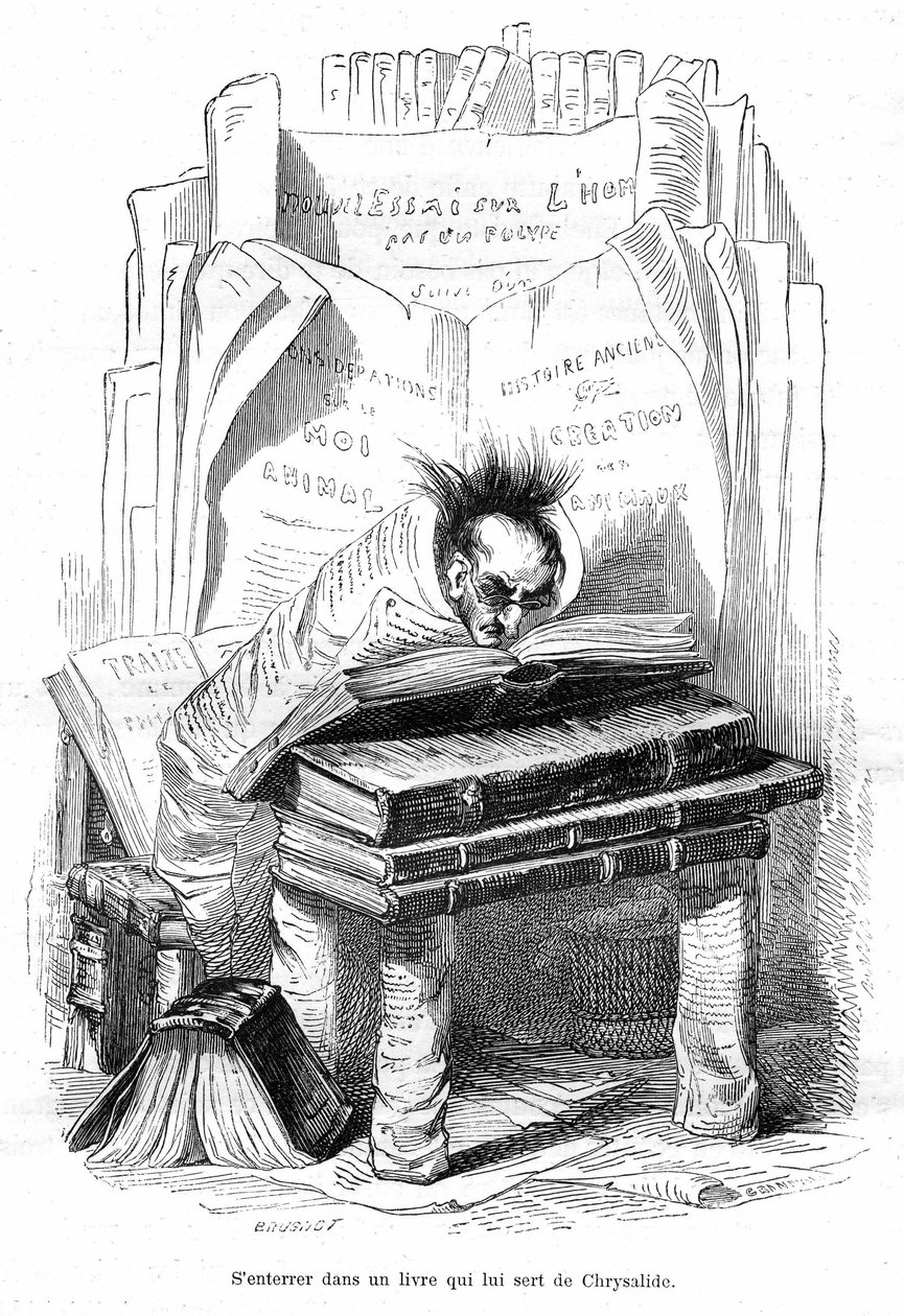 Viñeta: Crisálida de un erudito enterrado en los libros de una biblioteca - Grabado de Grandville, extraído del libro "Vida privada y pública de los animales (Les animaux pintés par les memes)", edición Hetzel 1867 p. 563 - Capítulo titulado Tablas del G de Grandville (1803 47)