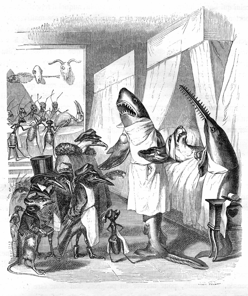 Dibujos animados: Piscis - médicos: Grabado de Grandville, del libro "Vida privada y pública de los animales (Les animaux ints par eux memes)", edición Hetzel 1867 p. 551 - Un tiburón y un pez sierra (Pez sierra) junto a la cama de un enfermo. de Grandville (1803 47)