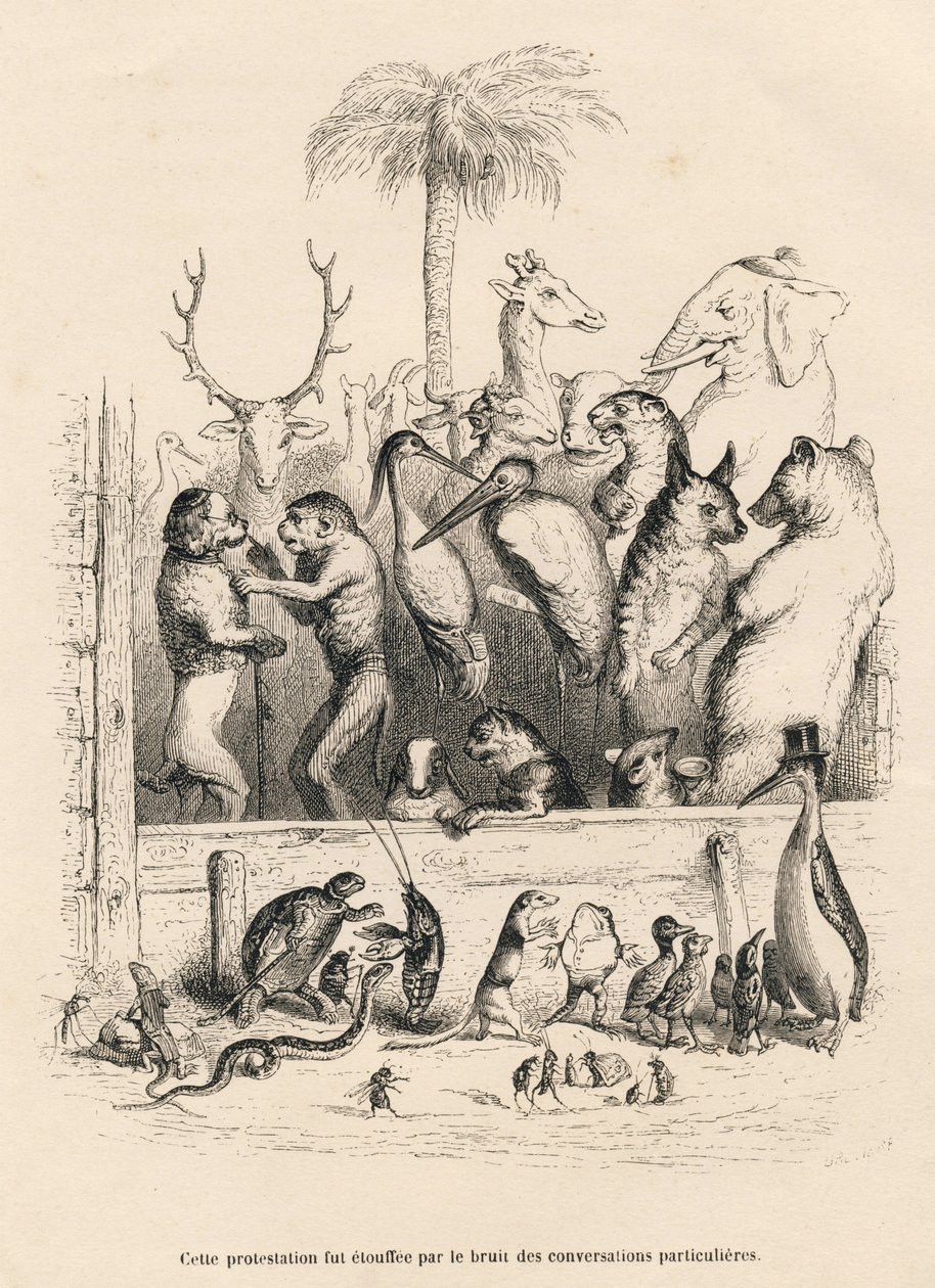 Conversación entre animales. Vignettes ilustradas por JJ Granville. Grabado firmado Breviere en el prólogo titulado "Resumen parlamentario" escrito por PJ Stahl en "Escenas de la vida privada y pública de los animales". París, J. Hetzel y Paulin de Grandville