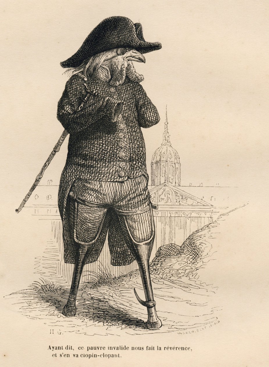 Gallo inválido frente al hotel de los inválidos en París. Viñetas ilustradas por JJ Granville. Grabado firmado por Andrew, Best y Leloir en la parte titulada "Los animales médicos" escrito por Pierre Bernard en "Escenas de la vida privada y pública de los  de Grandville